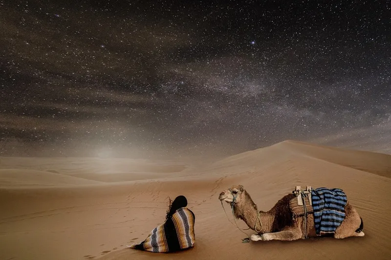 Bầu trời đêm trong trẻo và ngàn sao rực rỡ chiếu rọi xuống không gian tĩnh lặng của Sahara.