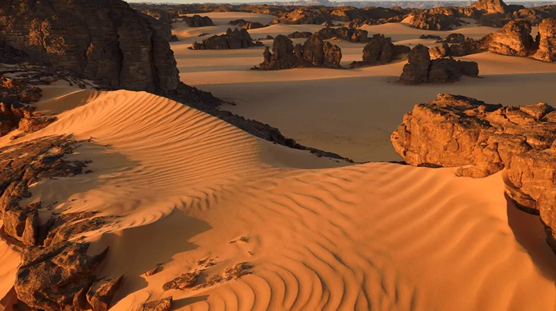 Những cồn cát vàng trải dài bất tận dưới ánh nắng rực rỡ tại sa mạc Sahara.